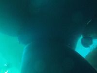 Underwater camera fun