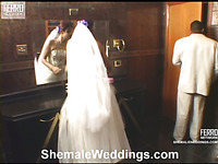 Thaina leggy shemale bride