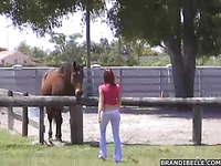 Seductive young bitch is on a farm playing with horses and ready to fuck